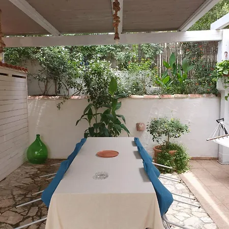 別荘 Casa De Dinu